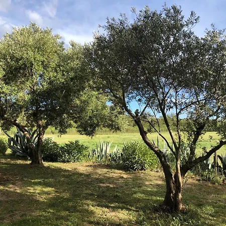 Proche Loft De Rêve Dans Chai Du Xix