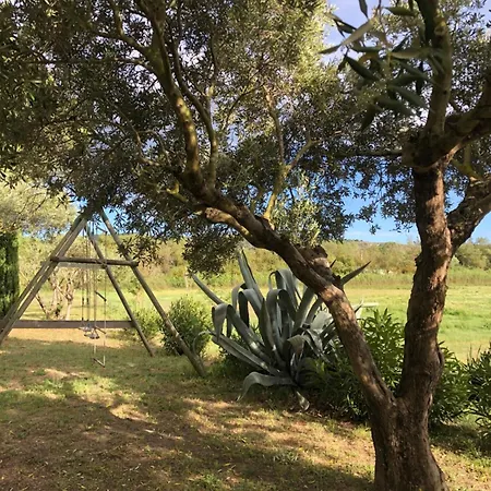 Villa Magnifique Et Grande Maison 5 Mn Dans Nature *