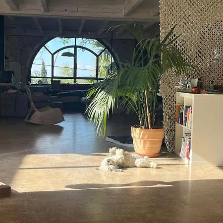 Proche Loft De Reve Dans Chai Du Xix