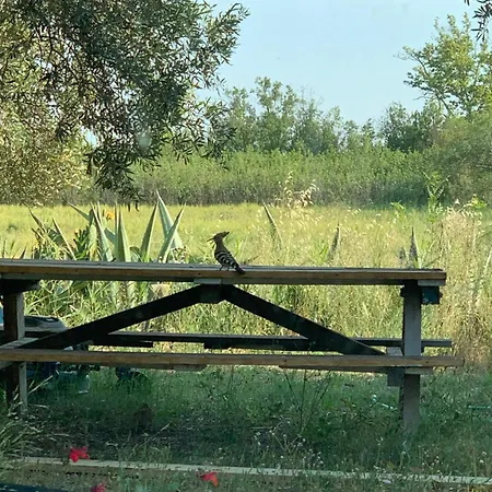 Magnifique Et Grande Maison 5 Mn Dans Nature Narbonne